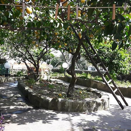 Holiday Apartments Lacco Ameno  Exterior foto