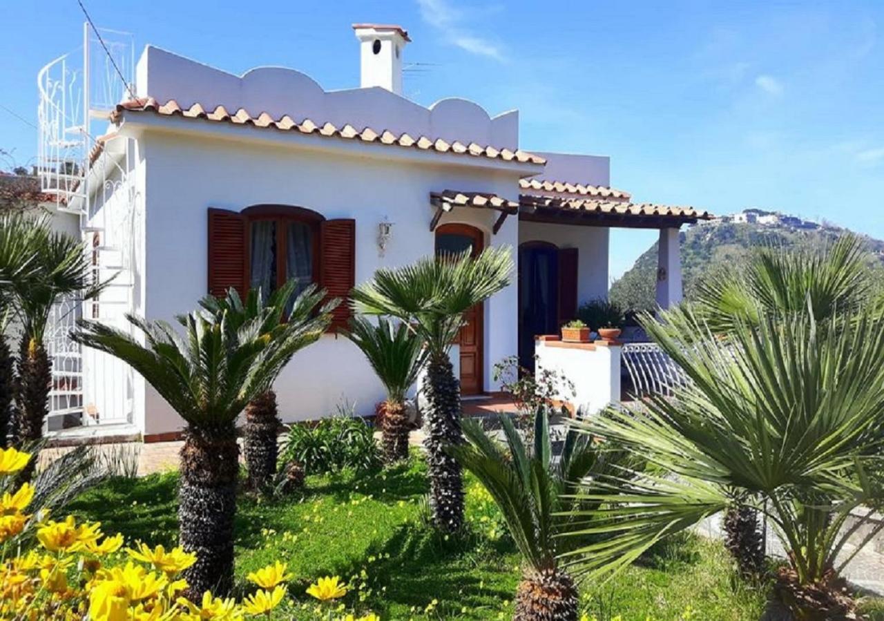 Holiday Apartments Lacco Ameno  Quarto foto