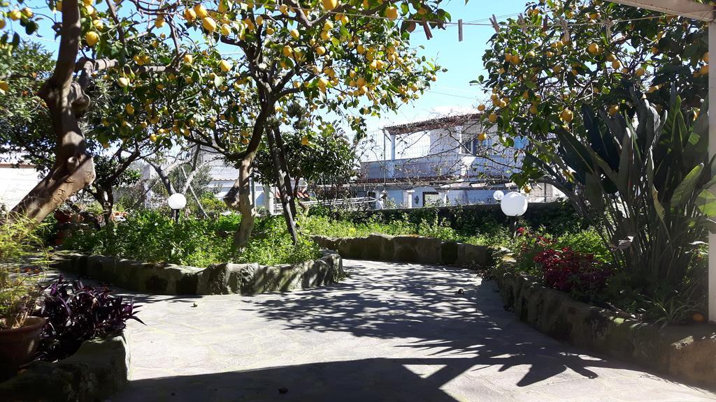 Holiday Apartments Lacco Ameno  Exterior foto